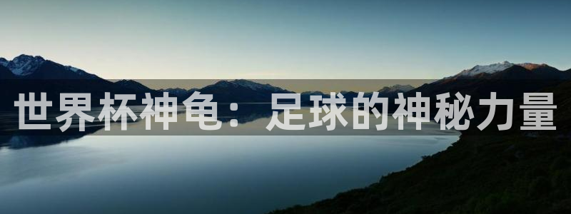 免费足球比赛直播高清:世界杯神龟:足球的神秘力量