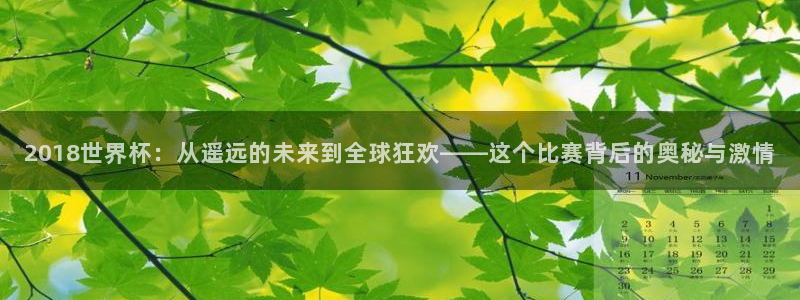 世界杯直播免费观看:2018世界杯:从遥远的未来到全球狂欢——这个比赛背后的奥秘与激情