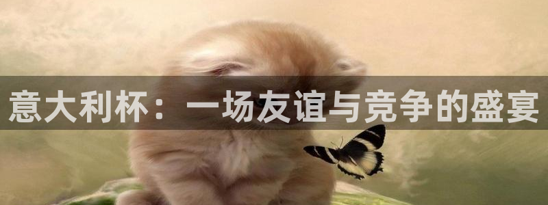 世界杯足球比赛:意大利杯:一场友谊与竞争的盛宴