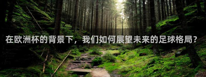 英足总杯直播:在欧洲杯的背景下,我们如何展望未来的足球格局?