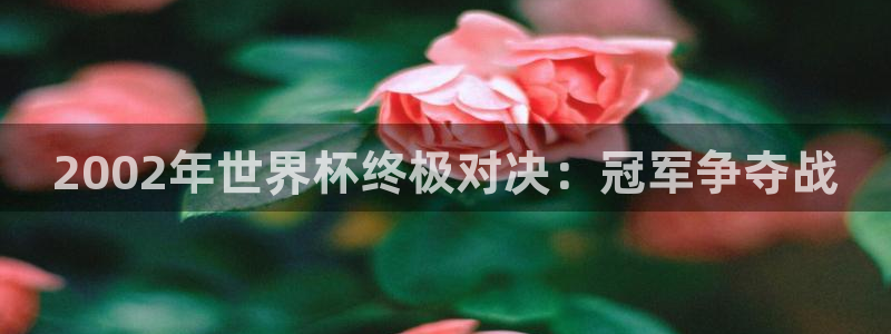 美洲杯直播:2002年世界杯终极对决:冠军争夺战