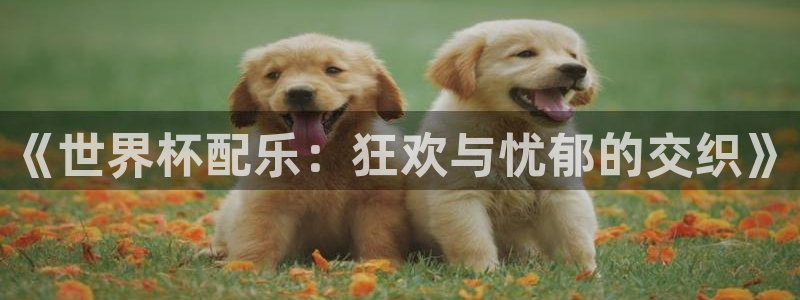 世界杯欧洲区预选赛赛程:《世界杯配乐:狂欢与忧郁的交织》