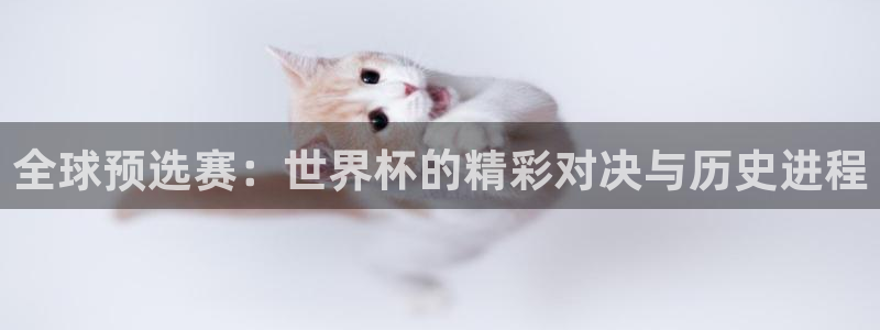 欧洲世界杯预选赛:全球预选赛:世界杯的精彩对决与历史进程